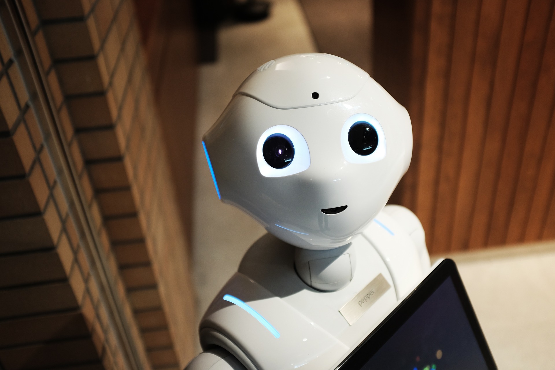 Robot 2587571 1920