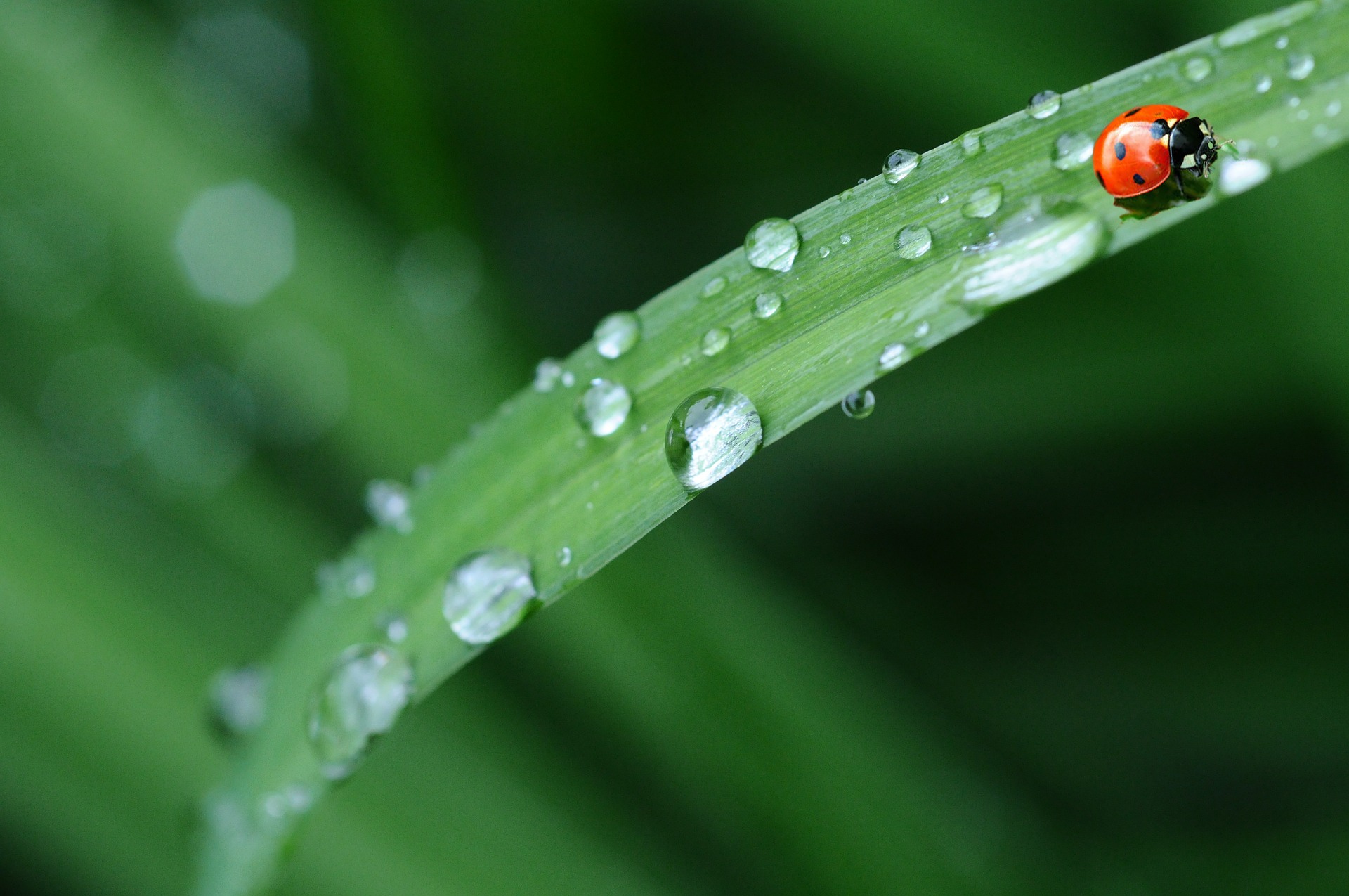 Raindrops 574971 1920